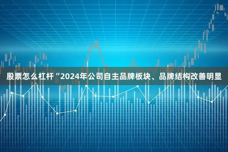 股票怎么杠杆“2024年公司自主品牌板块、品牌结构改善明显
