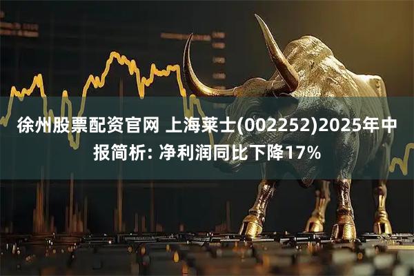 徐州股票配资官网 上海莱士(002252)2025年中报简析: 净利润同比下降17%